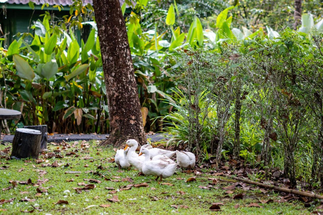 Blu Monkey Pooltara Krabi Hotel & Villas Pet Friendly Luaran gambar