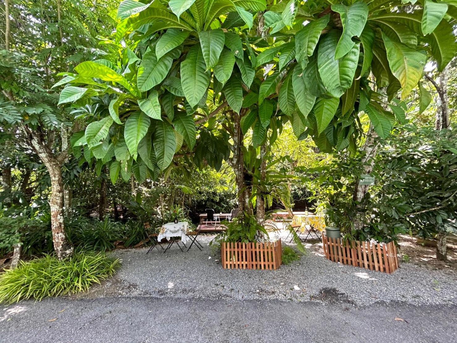 Blu Monkey Pooltara Krabi Hotel & Villas Pet Friendly Luaran gambar